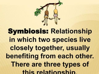 Symbiosis: Relationship
in which two species live
closely together, usually
benefiting from each other.
There are three types of
 