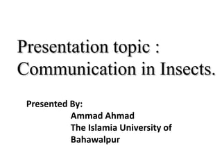 Presentation topic :
Communication in Insects.
Presented By:
Ammad Ahmad
The Islamia University of
Bahawalpur
 