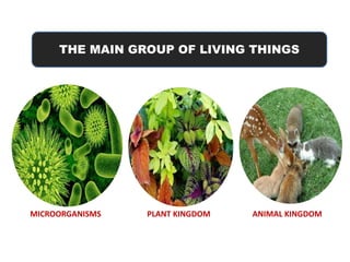 THE MAIN GROUP OF LIVING THINGS
MICROORGANISMS PLANT KINGDOM ANIMAL KINGDOM
 