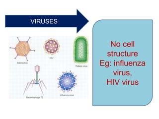VIRUSES
No cell
structure
Eg: influenza
virus,
HIV virus
 