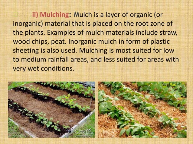 Soil Moisture Conservation Techniques