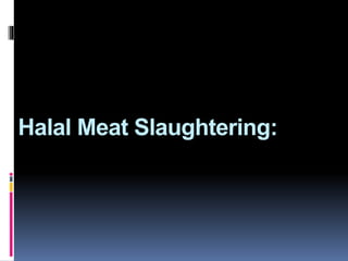 Halal Meat Slaughtering:
 