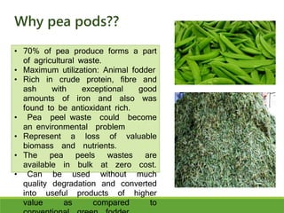• 70% of pea produce forms a part
of agricultural waste.
• Maximum utilization: Animal fodder
• Rich in crude protein, fibre and
ash with exceptional good
amounts of iron and also was
found to be antioxidant rich.
• Pea peel waste could become
an environmental problem
• Represent a loss of valuable
biomass and nutrients.
• The pea peels wastes are
available in bulk at zero cost.
• Can be used without much
quality degradation and converted
into useful products of higher
value as compared to
Why pea pods??
 