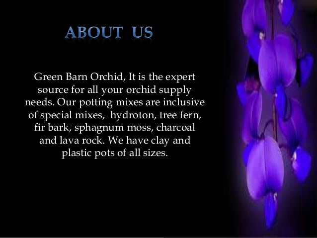 Wonderful Orchid Nursery Green Barn Orchid Supplies