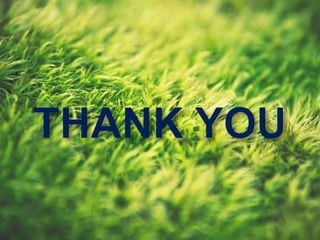 Detail view in distributed technologies