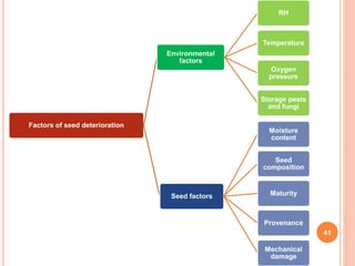 Deterioration of oil seeds in storage | PPTX