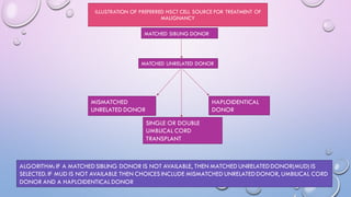 HEMATOPOIETIC STEM CELL TRANSPLANTS IN PEDIATRIC by DR ABHIJEET MANOHAR ...