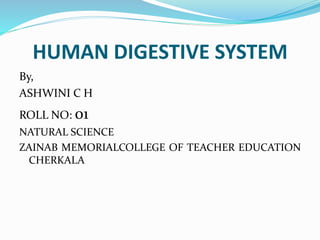 HUMAN DIGESTIVE SYSTEM
By,
ASHWINI C H
ROLL NO: 01
NATURAL SCIENCE
ZAINAB MEMORIALCOLLEGE OF TEACHER EDUCATION
CHERKALA
 