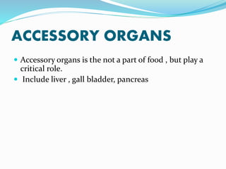 ACCESSORY ORGANS
 Accessory organs is the not a part of food , but play a
critical role.
 Include liver , gall bladder, pancreas
 
