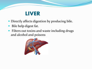 LIVER
 Directly affects digestion by producing bile.
 Bile help digest fat.
 Filters out toxins and waste including drugs
and alcohol and poisons
 
