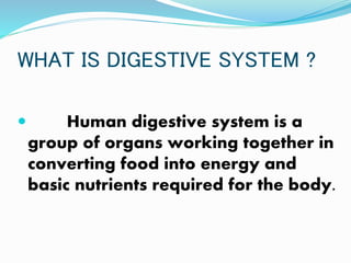 WHAT IS DIGESTIVE SYSTEM ?
 Human digestive system is a
group of organs working together in
converting food into energy and
basic nutrients required for the body.
 