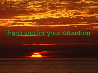 Thank you for your Attention
 