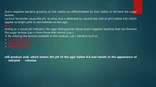 Gram-negative bacteria growing on the media are differentiated by their ability to ferment the sugar
lactose.
Lactose fermenter cause the pH to drop and is detected by neutral red, (red at pH's below 6.8.) which
appear as bright pink to red colonies on the agar.
Uses
Acting as a visual pH indicator, the agar distinguishes those Gram-negative bacteria that can ferment
the sugar lactose (Lac+) from those that cannot (Lac-).
 By utilizing the lactose available in the medium, Lac+ bacteria such as
 Escherichia coli
 Enterobacter spp.
 Klebsiella spp.
will produce acid, which lowers the pH of the agar below 6.8 and results in the appearance of
red/pink colonies
 