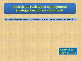 Insecticide resistance management
strategies in Stored grain pests
N.RAMYA SRI
RAD/ 2017-12
DEPARTMENT OF ENTOMOLOGY, COLLEGE OF AGRICULTURE, PJTSAU ,HYDERABAD
 