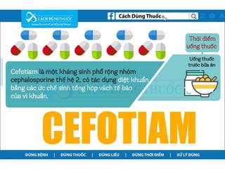 Cách dùng thuốc Cefotiam