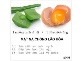 Bật mí các loại mặt nạ dưỡng da cho chị em