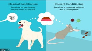 Psychological perspective
CLASSICAL
CONDITIONING
BY PAVLOV
OPERANT CONDITIONING
BY SKINNER
The repeated pairing of targeted behaviour with
a reinforcement or punishment to either
strengthen the association with the former or
weaken or extinguish the behaviours with the
latter
Conditioned response to a neutral stimulus
after having been paired repeatedly with an
unconditioned stimulus.
 