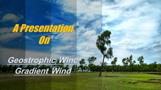 Geostrophic Wind
Gradient Wind
A Presentation
On
 