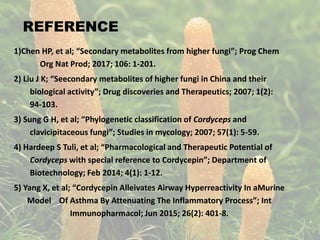 Tuli Classification Presentation1 | PPTX