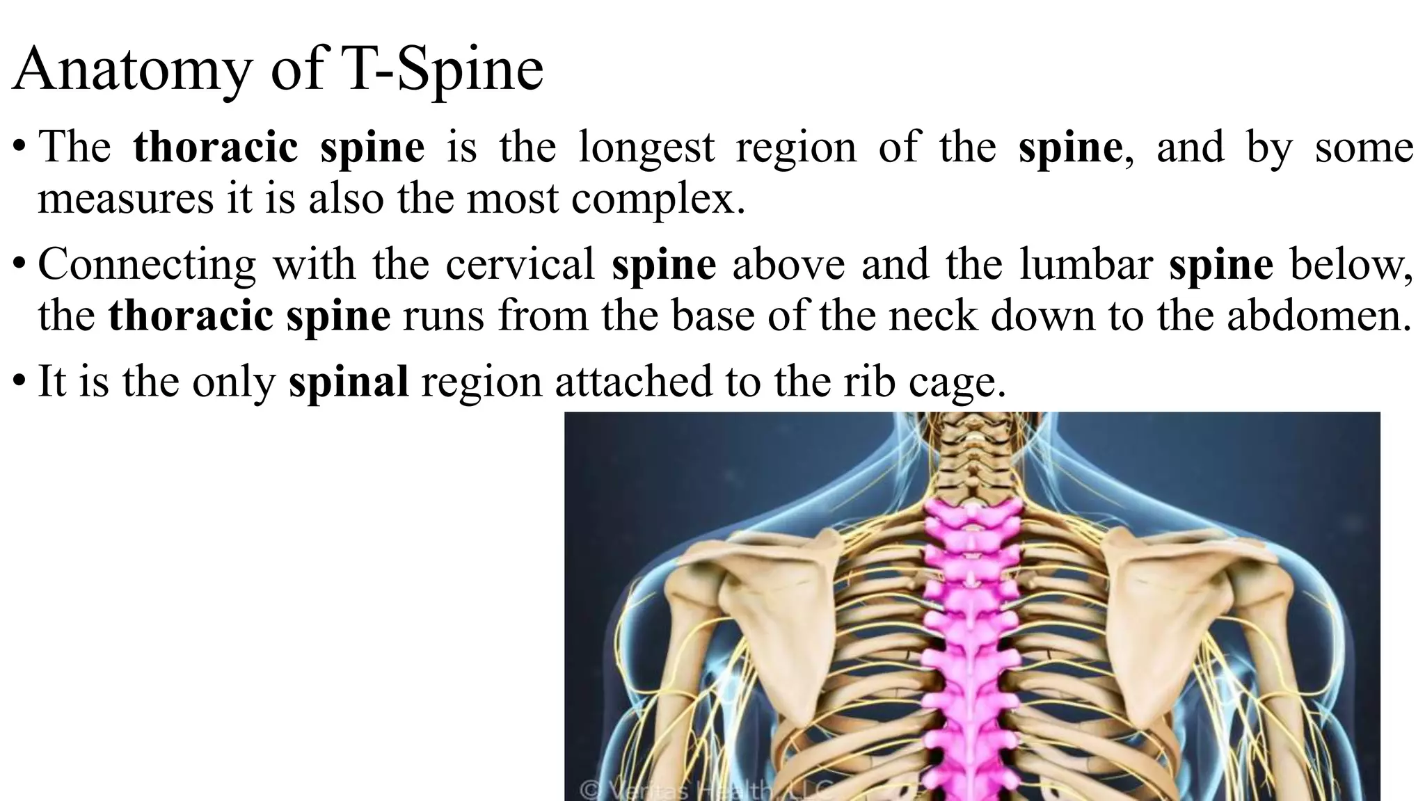 Anatomy of T-Spine
• The thoracic spine is the longest region of the spine, and by some
measures it is also the most complex.
• Connecting with the cervical spine above and the lumbar spine below,
the thoracic spine runs from the base of the neck down to the abdomen.
• It is the only spinal region attached to the rib cage.
7
 