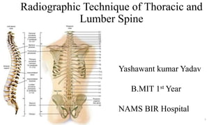 Radiographic Technique of Thoracic and
Lumber Spine
Yashawant kumar Yadav
B.MIT 1st Year
NAMS BIR Hospital
1
 