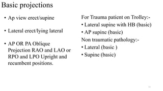 Presentation1.pptx thoraccic and lumber spine | PPTX
