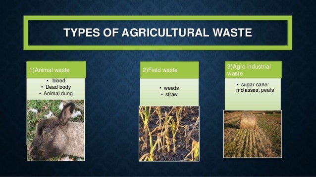 Agricultural Waste Management agricultural-waste-management