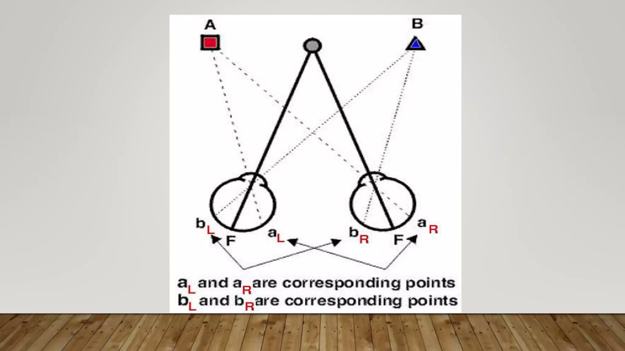 Binocular Single Vision Pptx