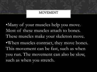 introduction to muscular system | PPTX