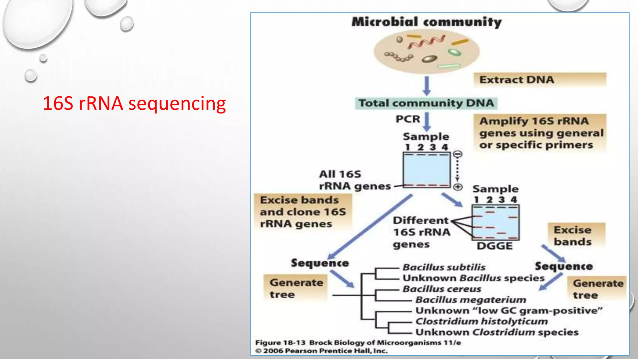 Molecular pathology in microbiology and metagenomics | PPT