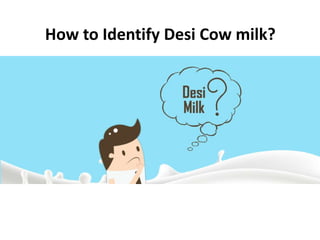 How to Identify Desi Cow milk?
 