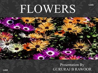 FLOWERS
Presentation By
GURURAJ B RAWOOR
GBR
GBR
 