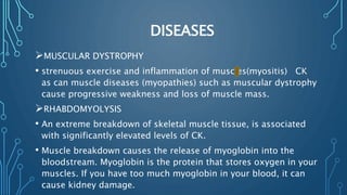 DISEASES
MUSCULAR DYSTROPHY
• strenuous exercise and inflammation of muscles(myositis) CK
as can muscle diseases (myopathies) such as muscular dystrophy
cause progressive weakness and loss of muscle mass.
RHABDOMYOLYSIS
• An extreme breakdown of skeletal muscle tissue, is associated
with significantly elevated levels of CK.
• Muscle breakdown causes the release of myoglobin into the
bloodstream. Myoglobin is the protein that stores oxygen in your
muscles. If you have too much myoglobin in your blood, it can
cause kidney damage.
 
