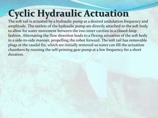 Cyclic Hydraulic Actuation
The soft tail is actuated by a hydraulic pump at a desired undulation frequency and
amplitude. The outlets of the hydraulic pump are directly attached to the soft body
to allow for water movement between the two inner cavities in a closed-loop
fashion. Alternating the flow direction leads to a flexing actuation of the soft body
in a side-to-side manner, propelling the robot forward. The soft tail has removable
plugs at the caudal fin, which are initially removed so water can fill the actuation
chambers by running the self-priming gear pump at a low frequency for a short
duration.
 