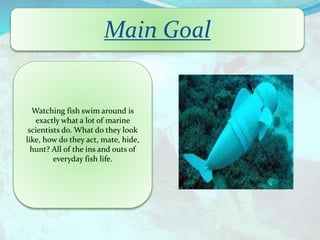 Watching fish swim around is
exactly what a lot of marine
scientists do. What do they look
like, how do they act, mate, hide,
hunt? All of the ins and outs of
everyday fish life.
Main Goal
 