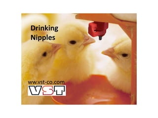Drinking
Nipples
ww.vst-co.com
 