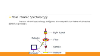 Near Infrared Spectroscopy
The near infrared spectroscopy (NIR) give a accurate prediction on the soluble soilds
content in pineapple.
 