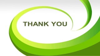 maturity indices of pineapple