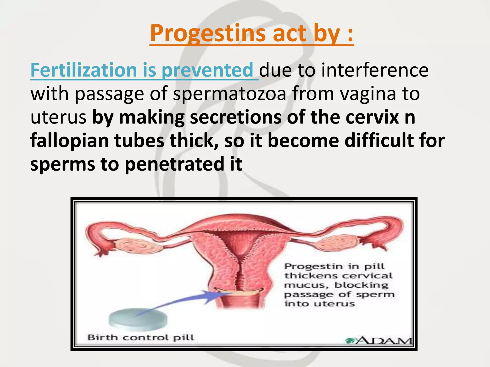 Progestins act by :
Fertilization is prevented due to interference
with passage of spermatozoa from vagina to
uterus by making secretions of the cervix n
fallopian tubes thick, so it become difficult for
sperms to penetrated it
 