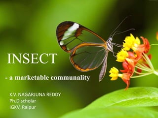 INSECT
- a marketable communality
K.V. NAGARJUNA REDDY
Ph.D scholar
IGKV, Raipur
 