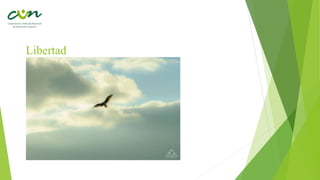 Libertad
 