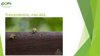 Trascendencia, mas allá.
 