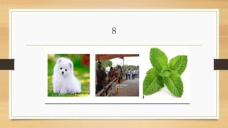 Connection game Round name Technical words Presentation1-2.pptx