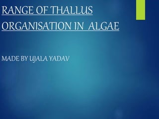 RANGE OF THALLUS
ORGANISATION IN ALGAE
MADE BY UJALA YADAV
 