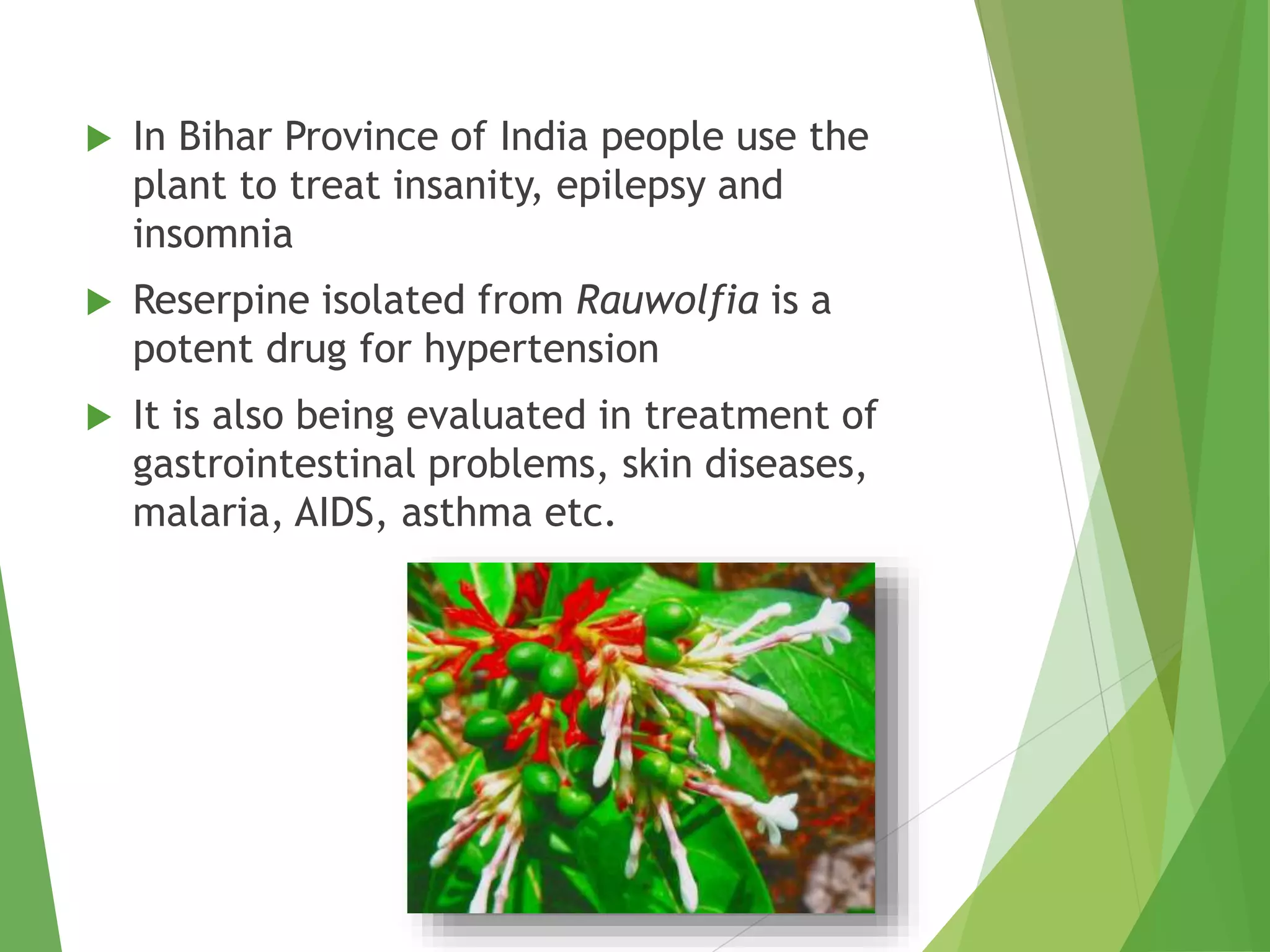 Curated visual reference: Kitten Uti Natural Prevention Using Rauwolfia Reference: Ethnopharmacology