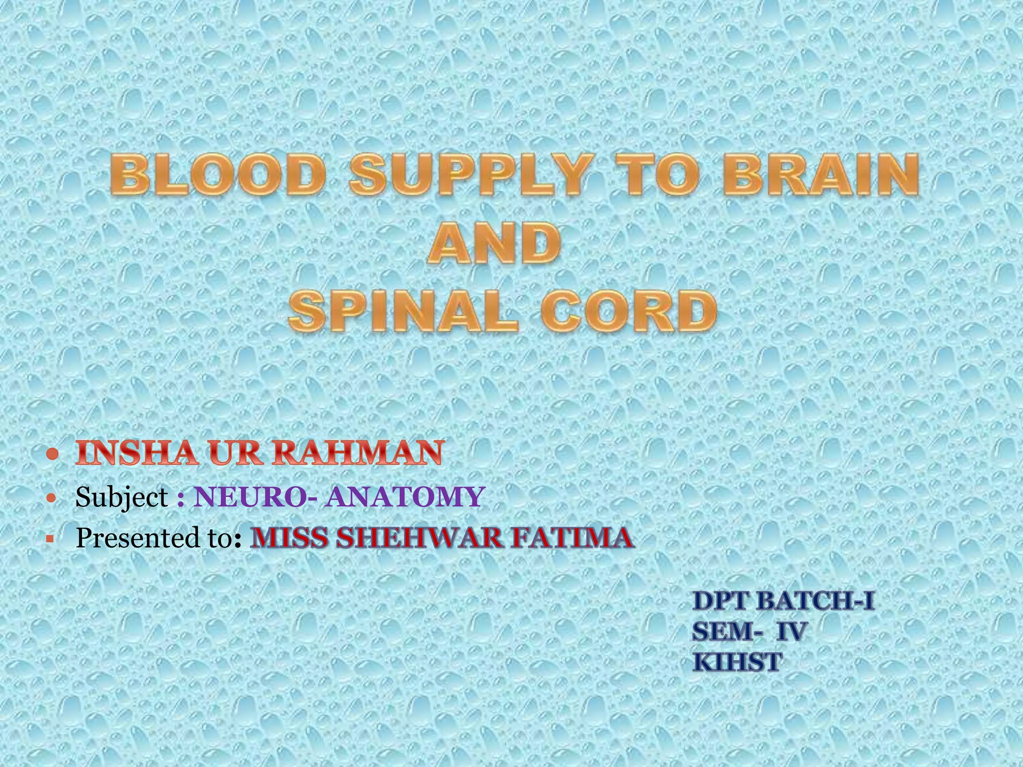 blood supply of brain and spinal cord | PPTX