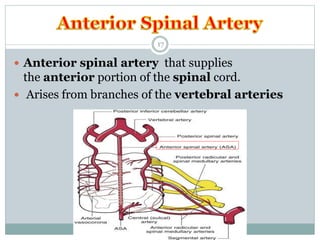 blood supply of brain and spinal cord | PPTX