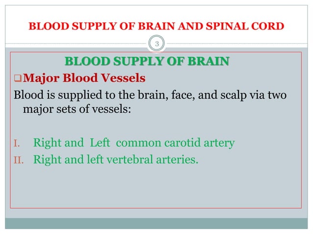blood supply of brain and spinal cord | PPTX