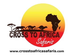 www.crosstoafricasafaris.com
 