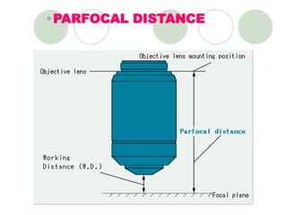 Parfocal Microscope Function Microscope | PPT